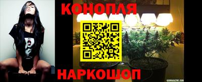 мяу мяу мука Жуковский