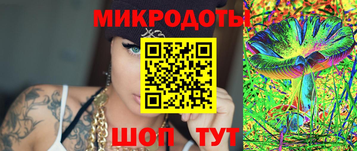 Галлюциногенные грибы Psilocybine cubensis Лесозаводск